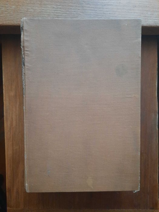 Елементарно ръководство по гражданско право, 1919 година