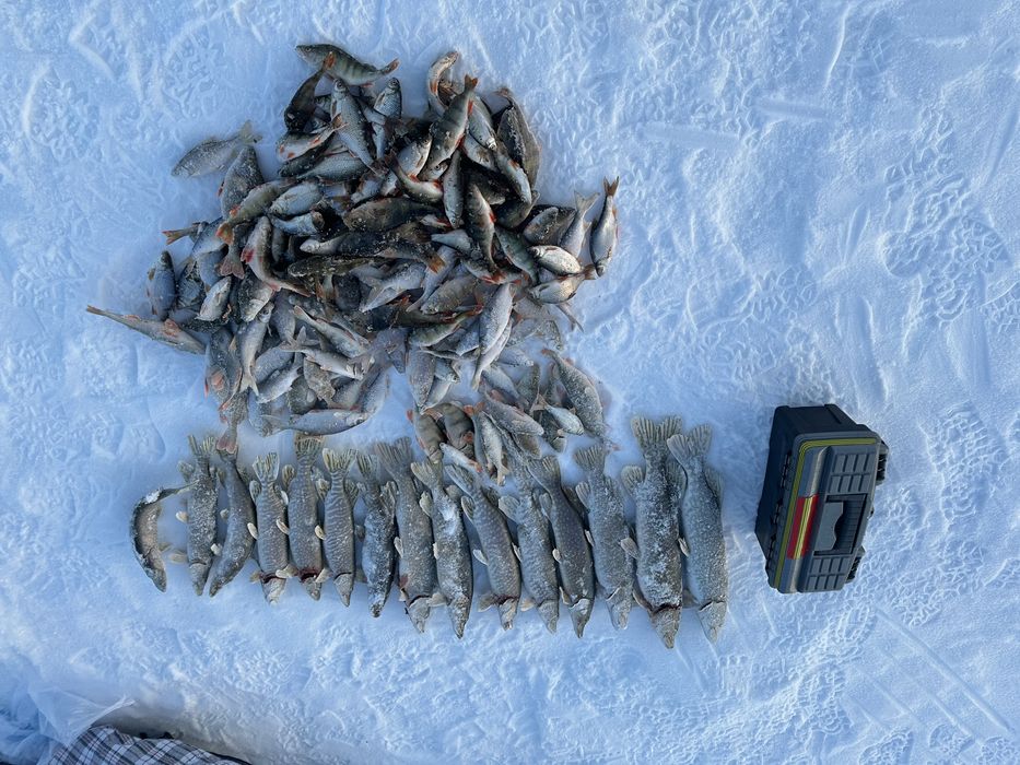 Ледобур Тонар Торнада 150