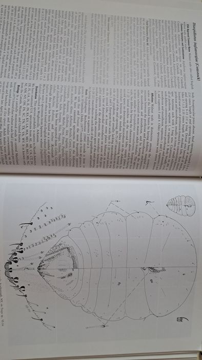 Carte engleza Armored Scale Insect Pests - paduchi testosi plante pomi