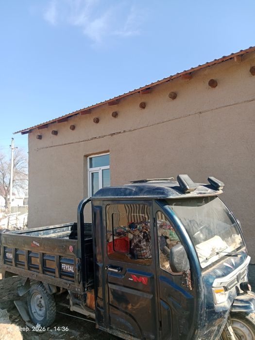 Муравей ток пенен журеди