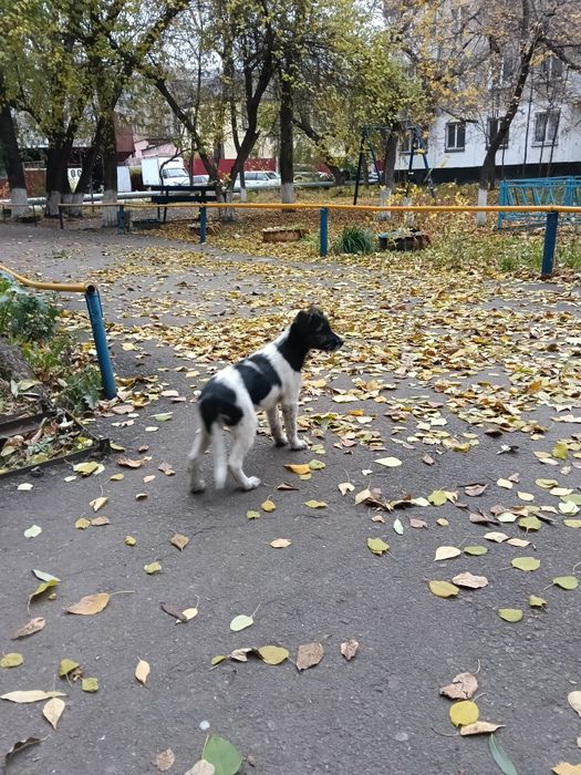 Маленькое чудо ищет любящую семью!