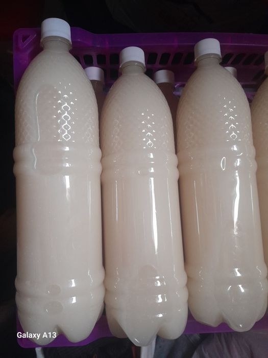 Трусикадағы жеке эротикалық фотосурет