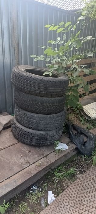 Шины для автомобиля