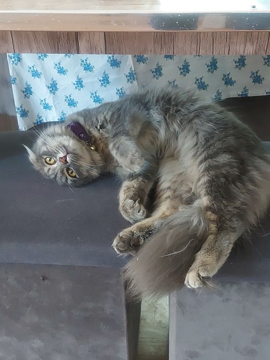 Продается срочно