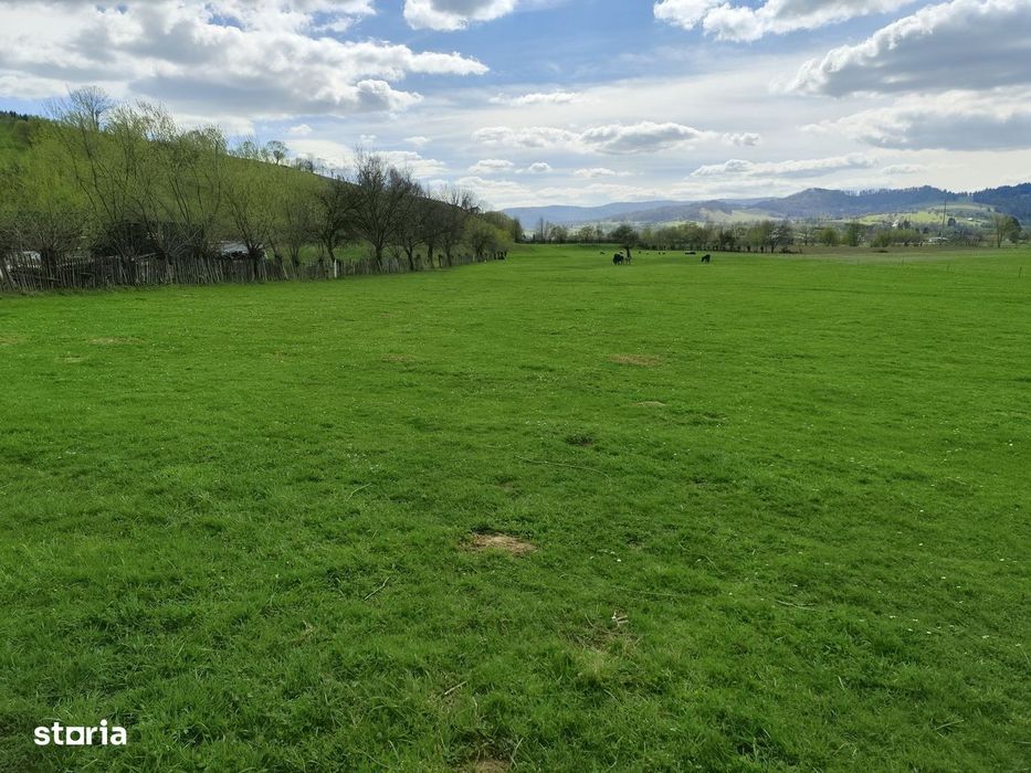 Proprietar – Teren intravilan 719 mp Întorsura Buzăului (Crivina)