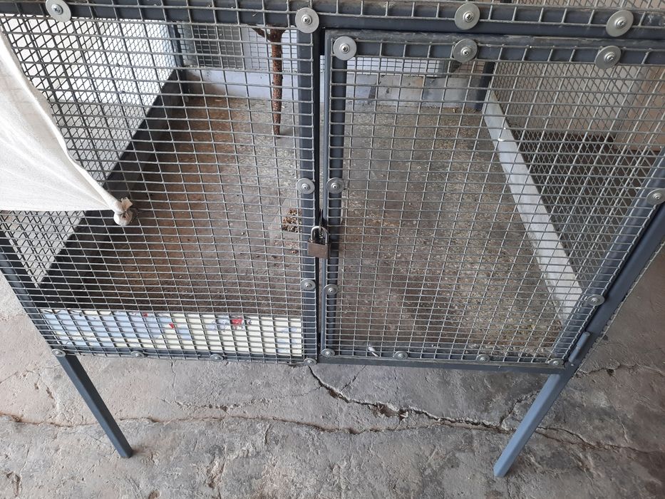 Валер кафас сотилади. Valer qafas sotiladi