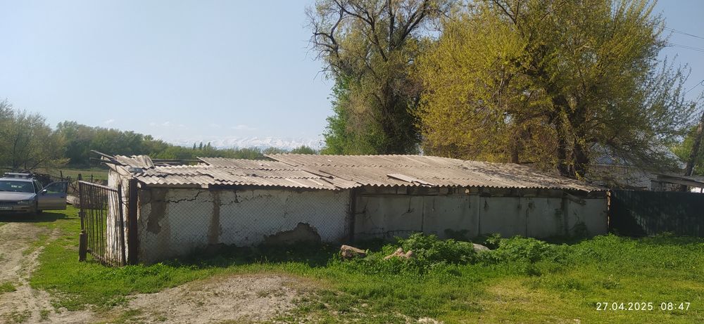 Уй сатылады екпінді достық 6