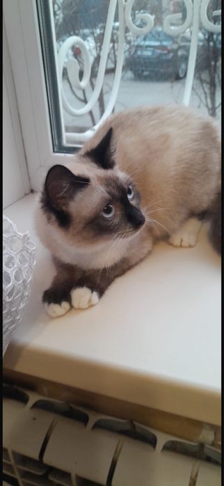 Только в ответственные руки