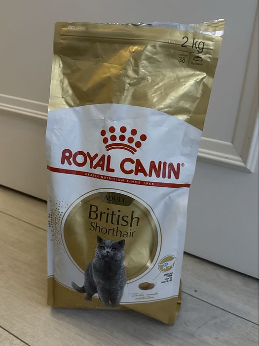 Сухой корм royal canin british shorthair