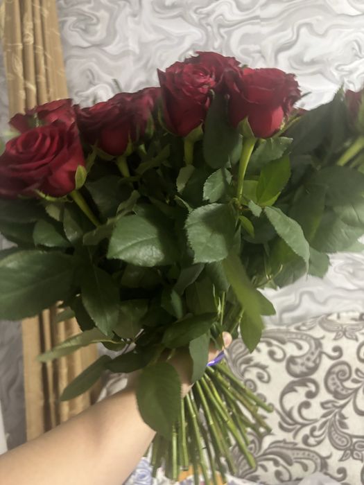 Продам свежие розы