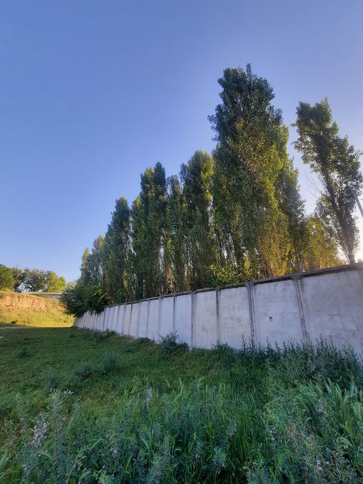 teraklar holati yaxshi 2 boy beradi 4 metrdan