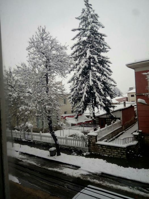 Продава се Парцел в Велинград - 1046 кв.м за 146 €/кв.м - Снимка #2