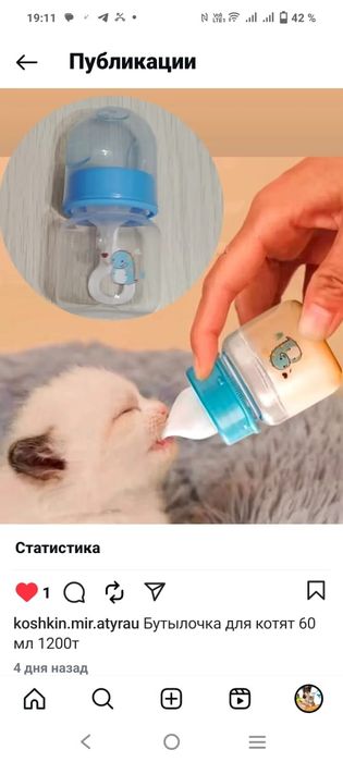 Переноски для кошек