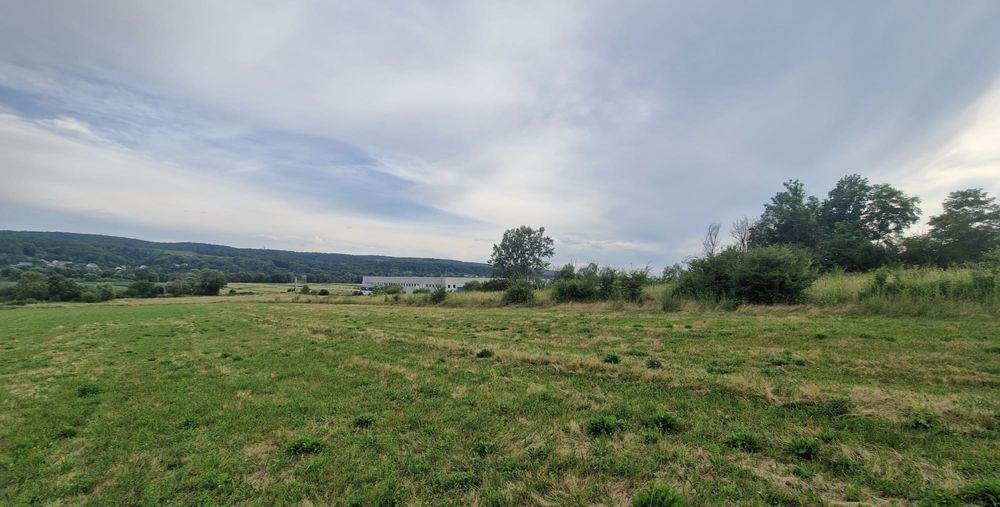 Teren 6.400 mp de vânzare – Mioveni, Racovița – 2.517 mp intravilan