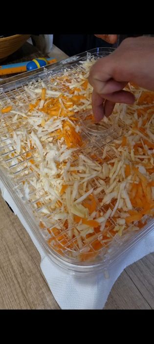 Deshidrator Princess Olanda