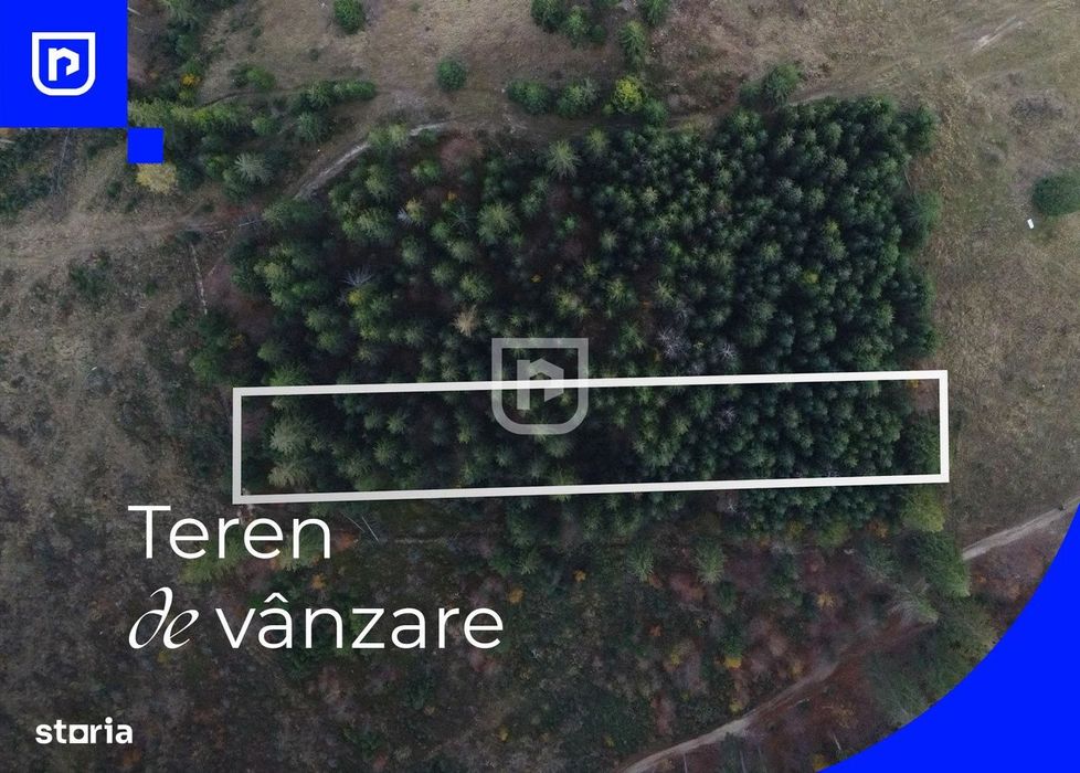 Teren situat in Frasin | BUCOVINA