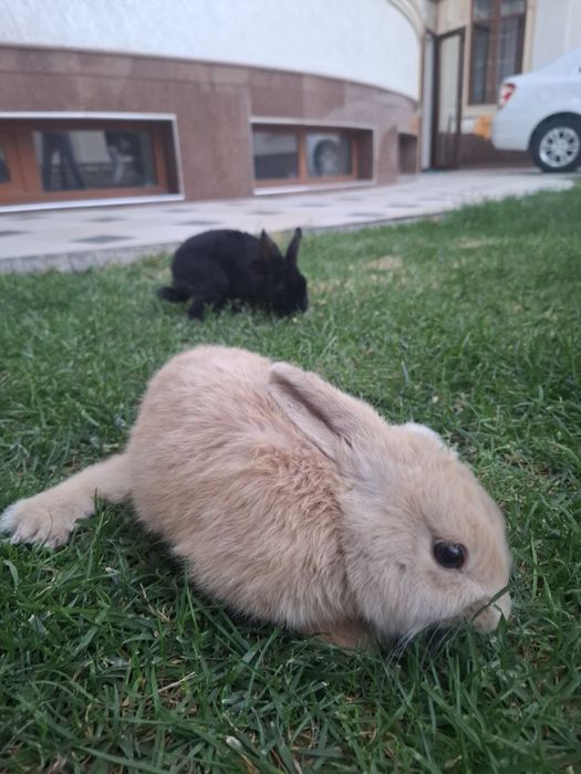 Suv parisi jinsiy aloqa