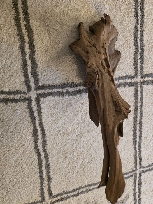 Decor acvariu , terrariu