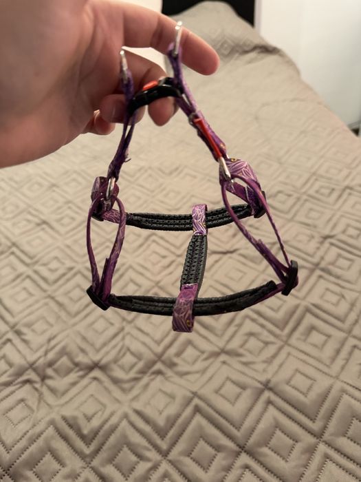 Нагрудних за малко куче