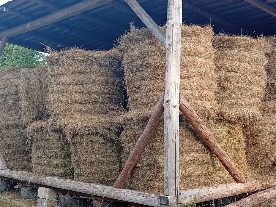 Cînd baloți fin și otava