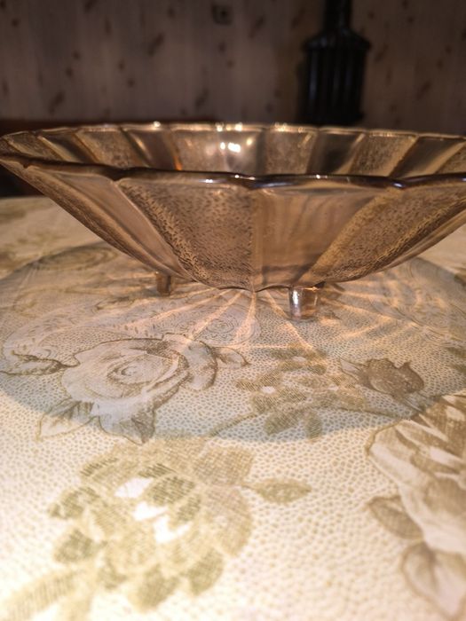 Красива фруктиера (НОВА)