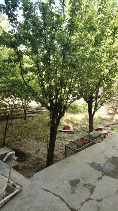 Hovli sotiladi 6 sotix