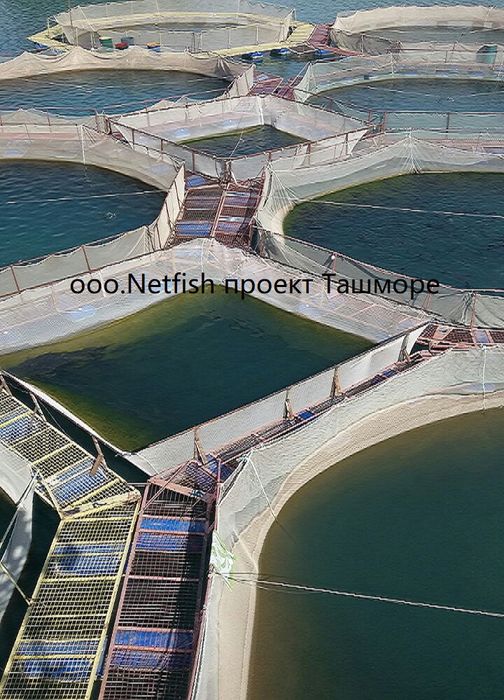 Садок для разведение рыбы. Спорт и строительная сетки