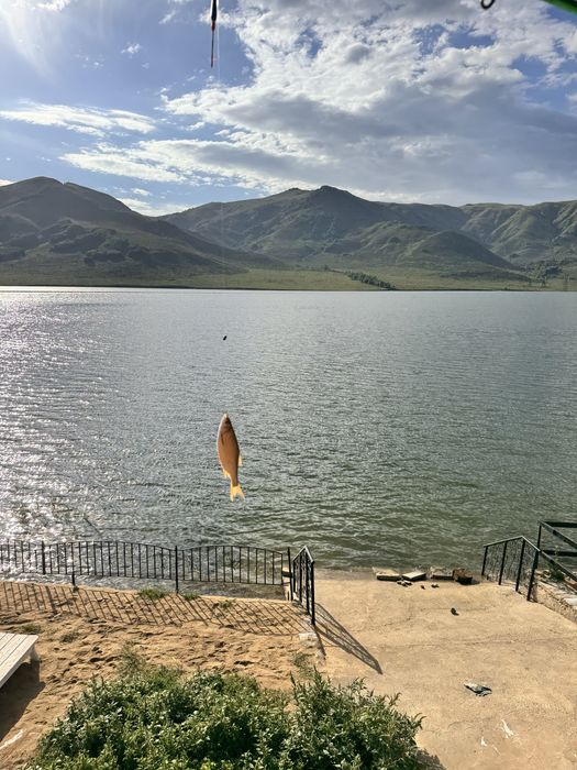 Продам круглогодичную базу отдыха