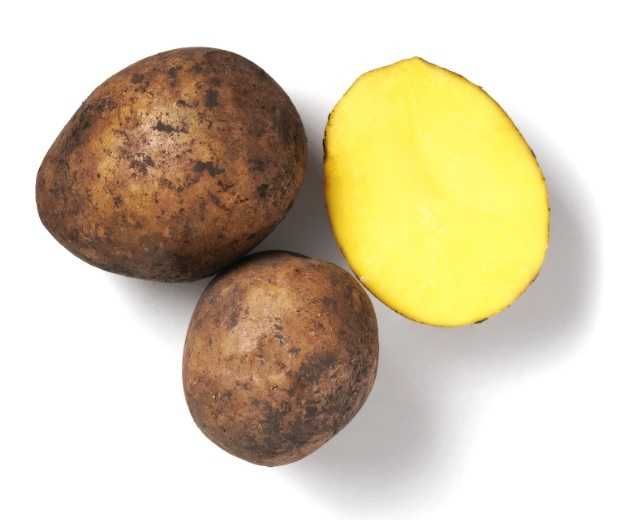 Овощи по низким ценам