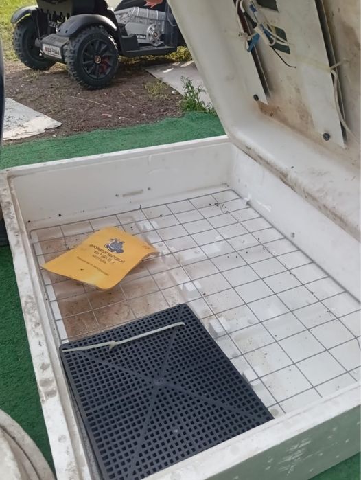 инкубатор для яиц