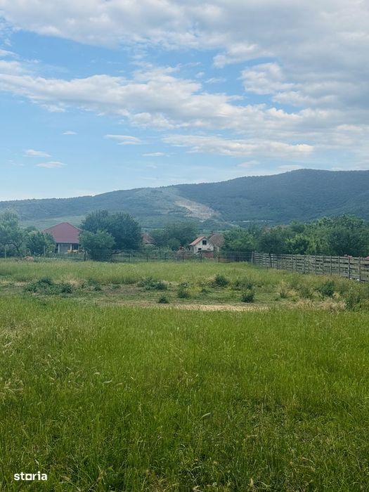 Casa cu vedere la Cetate