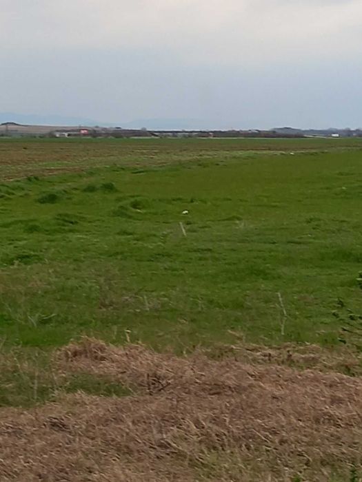 Продава се Земеделски имот в с. Белозем, Област Пловдив -  кв.м за 15000 €/дка - Снимка #2