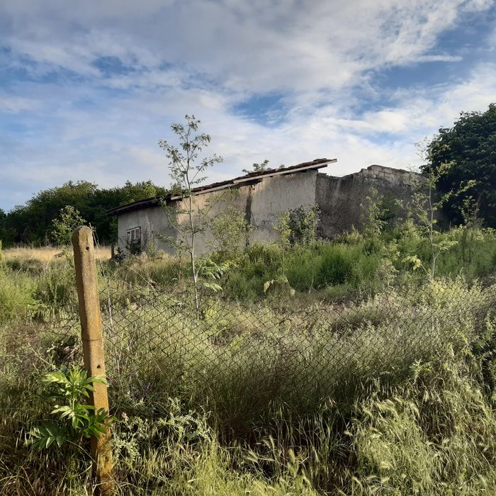 Продава се Парцел в с. Казимир, Област Силистра - 2000 кв.м за 5 €/кв.м - Снимка #4