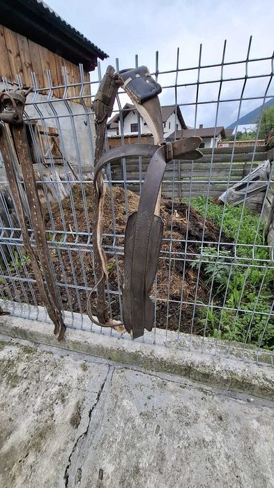 Accesorii pentru cal