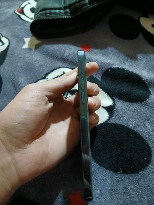 Iphone12pro ideal holata