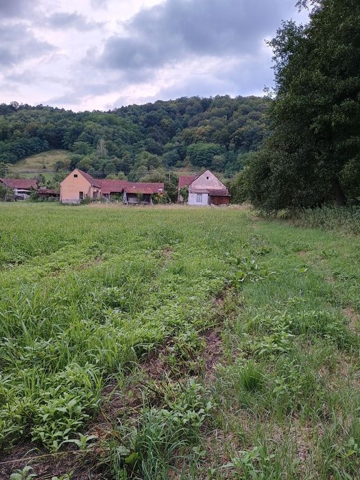 Casa cu gradina intravilan