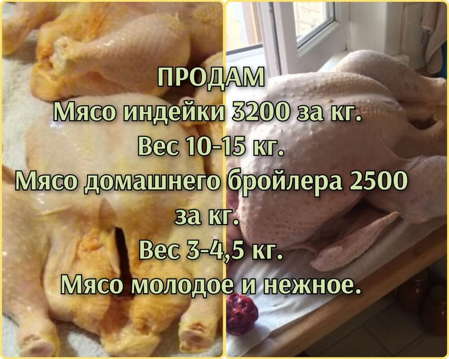 Продам мясо бройлера.