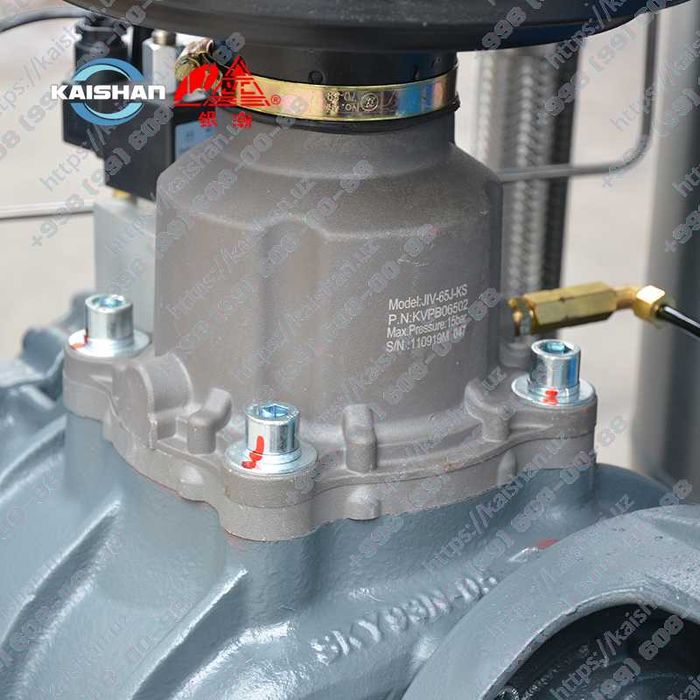 Электрические воздушные компрессоры KAISHAN серии BK — до 13 бар