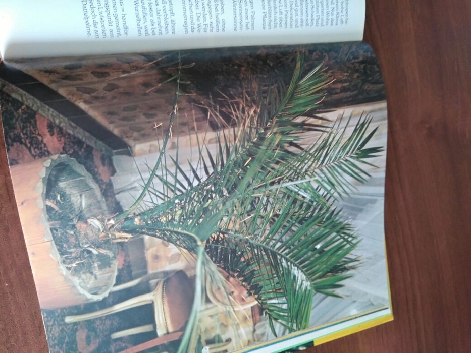 Комнатные цветы книга