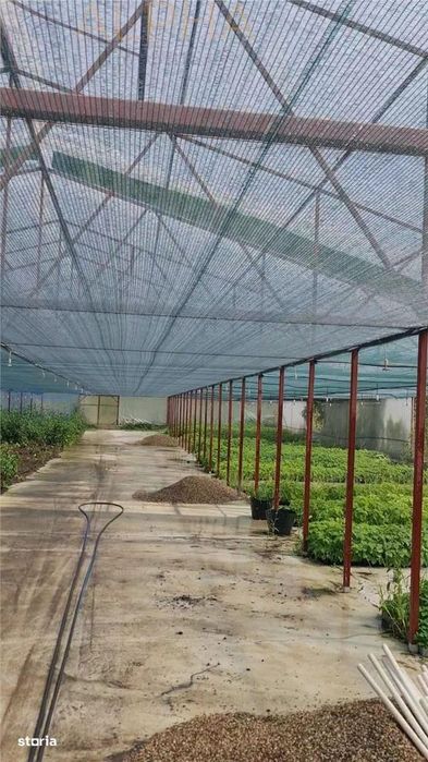 Afacere La Cheie – Hala Productie + Sera Profesionala