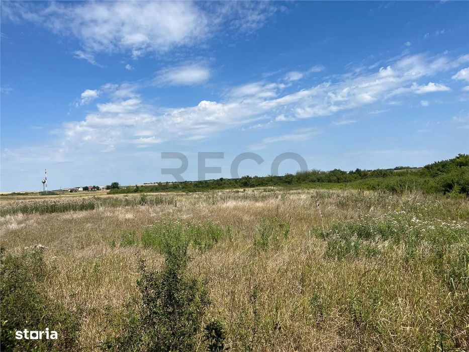 RECO Teren intravilan 3,9 ha -Les