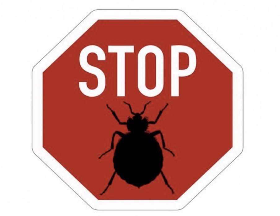 Дезинфекция помещение тараканы термиты