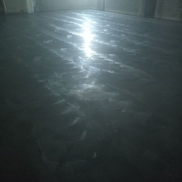 Styashka topping Styashka paliropka Styashka pola xizmati