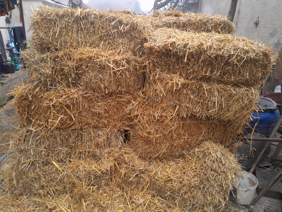 Baloți paie sau otavă