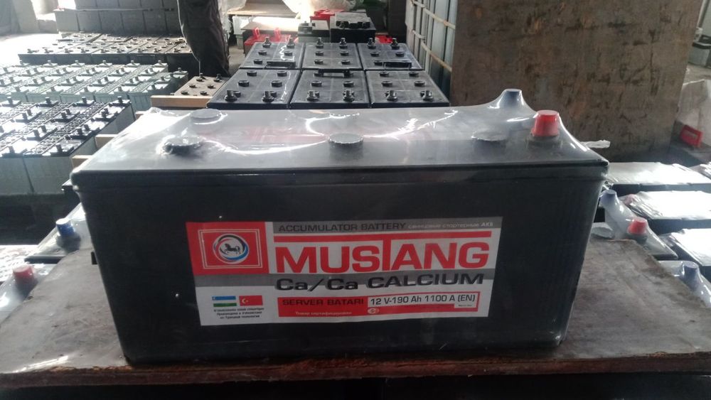 Аккумуляторы Mustang