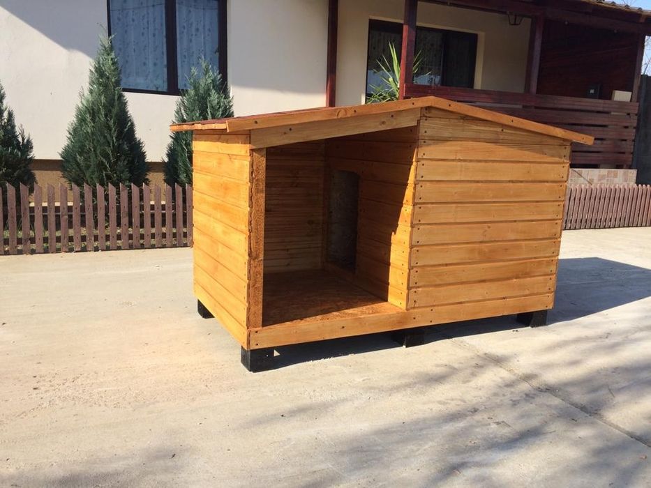 Cusca de caine complet izolata