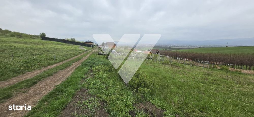 Investitie - Teren intravilan 536 mp Sura Mare ideal constructii