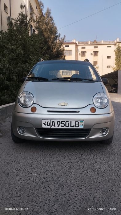 Xalati yaxwi kamchiligi yug