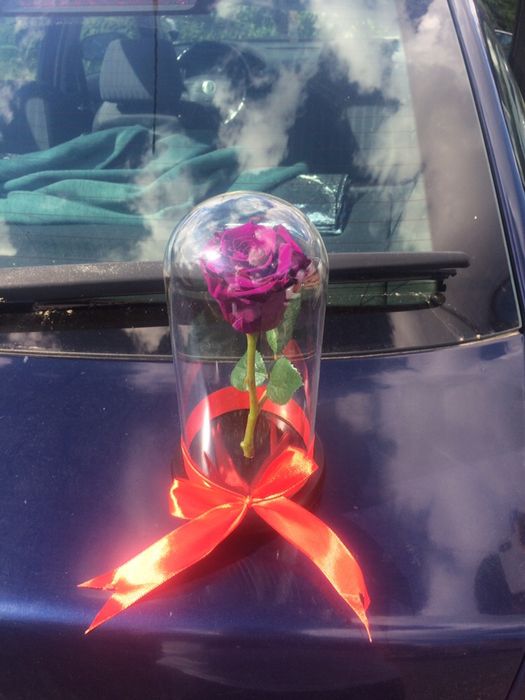 Trandafiri criogenati conservati rezistenti in timp cu o viata lunga