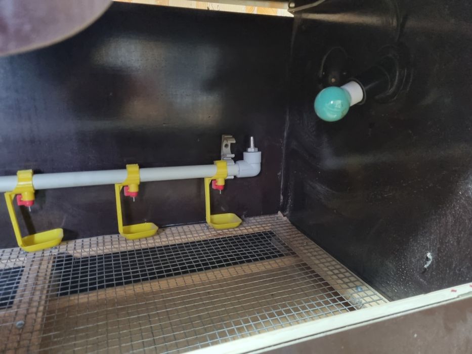 Брудер для птицы